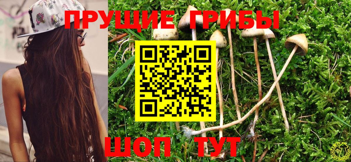 Кулебаки  цена наркотик  Вход с VPN  Галлюциногенные грибы MAGIC MUSHROOMS 