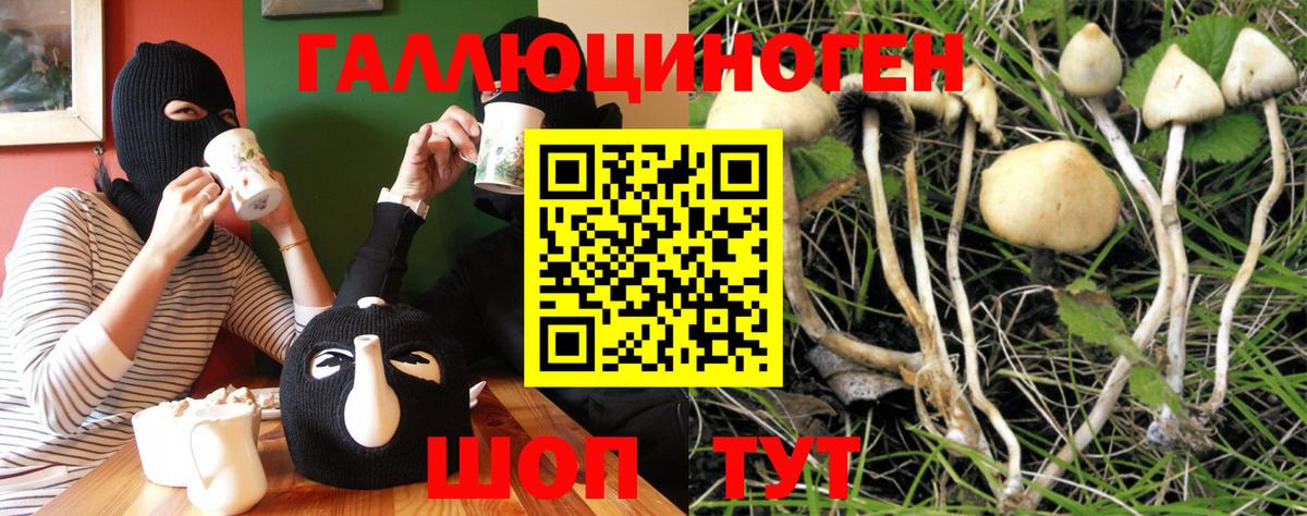 Галлюциногенные грибы ЛСД Кулебаки